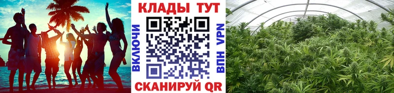 Как найти наркотики Калининград Амфетамин A PVP ГАШ Бошки Шишки Галлюциногенные грибы Кокаин Меф мяу мяу