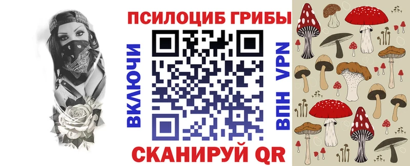Галлюциногенные грибы Magic Shrooms  купить наркотик  гидра онион  Калининград 
